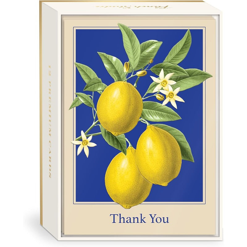 Boxed Elegant Blank Thank You Card 12 Pack, Embossed Detail, 3.5 X 5, Lemon Pattern